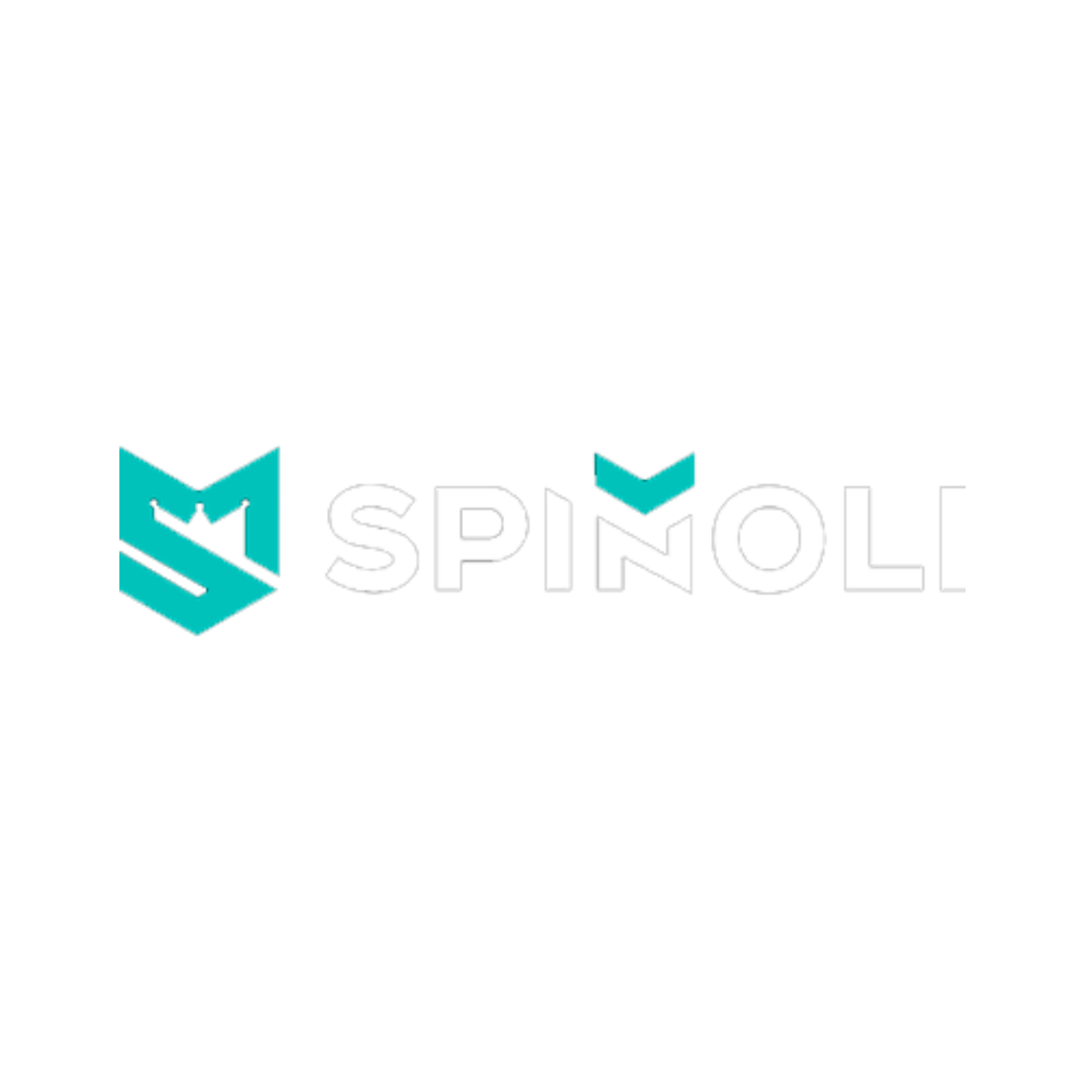 Home 1 Spinoli Logoo